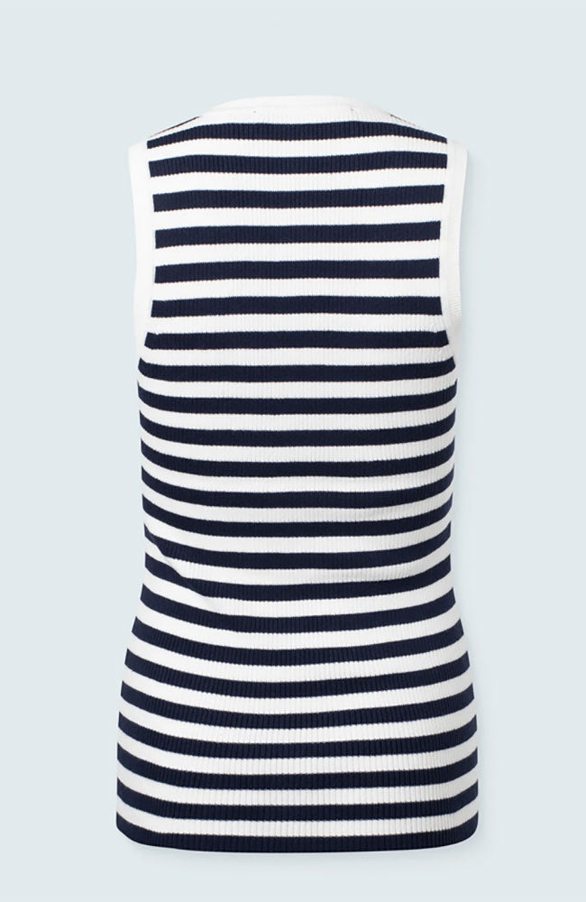 Basic Vneck Top with Stripes