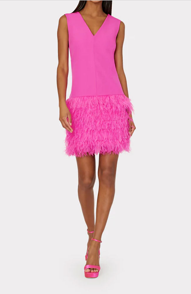 Veronica Feather Dress