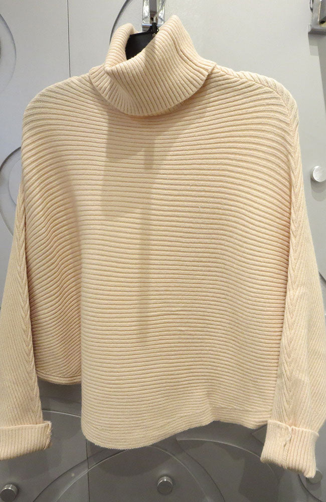 Turtle Neck with Dolman Sleeve