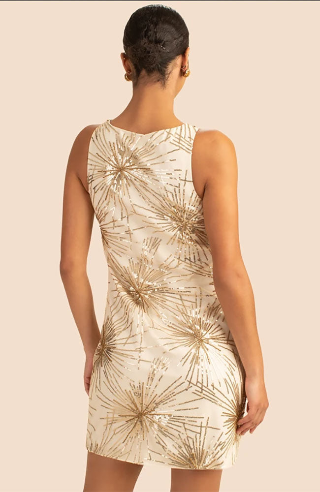 Glitterati Dress