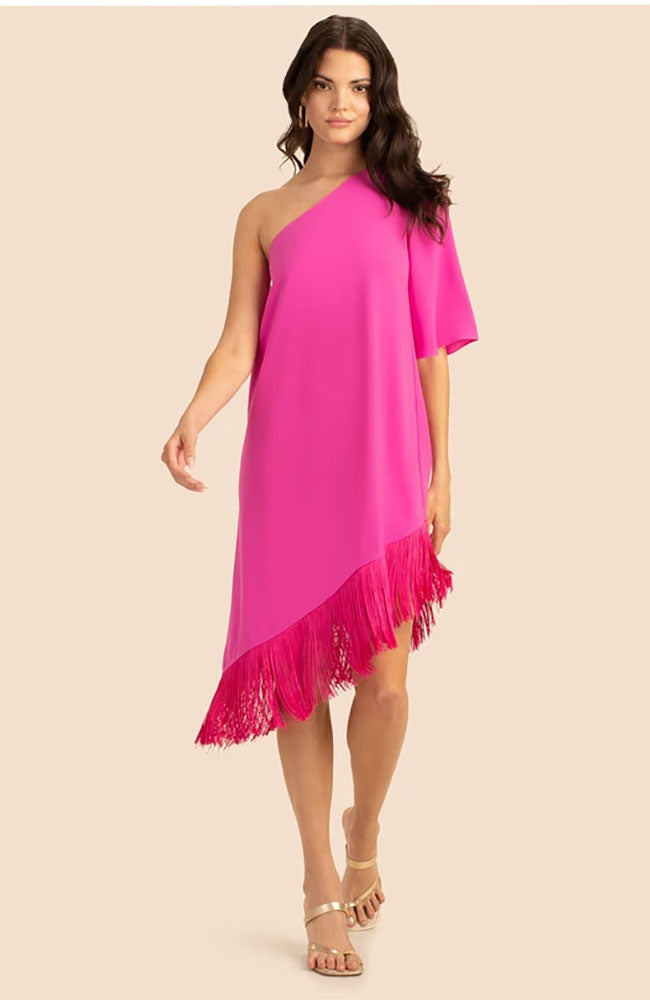 Gull Dress in Snapdragon