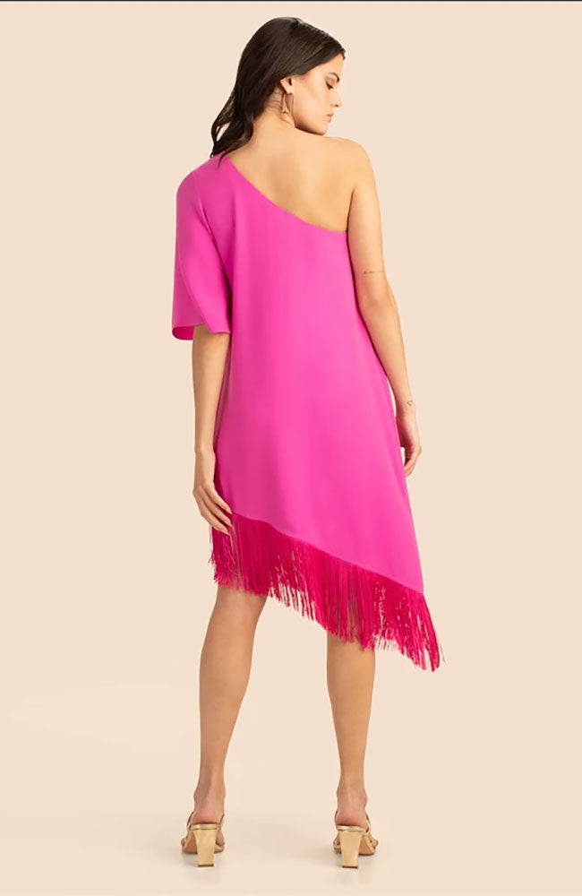 Gull Dress in Snapdragon
