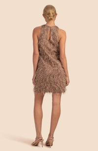 Ursa Major Dress in Moonstone
