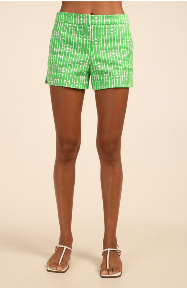 Corbin 2 Shorts in Vert