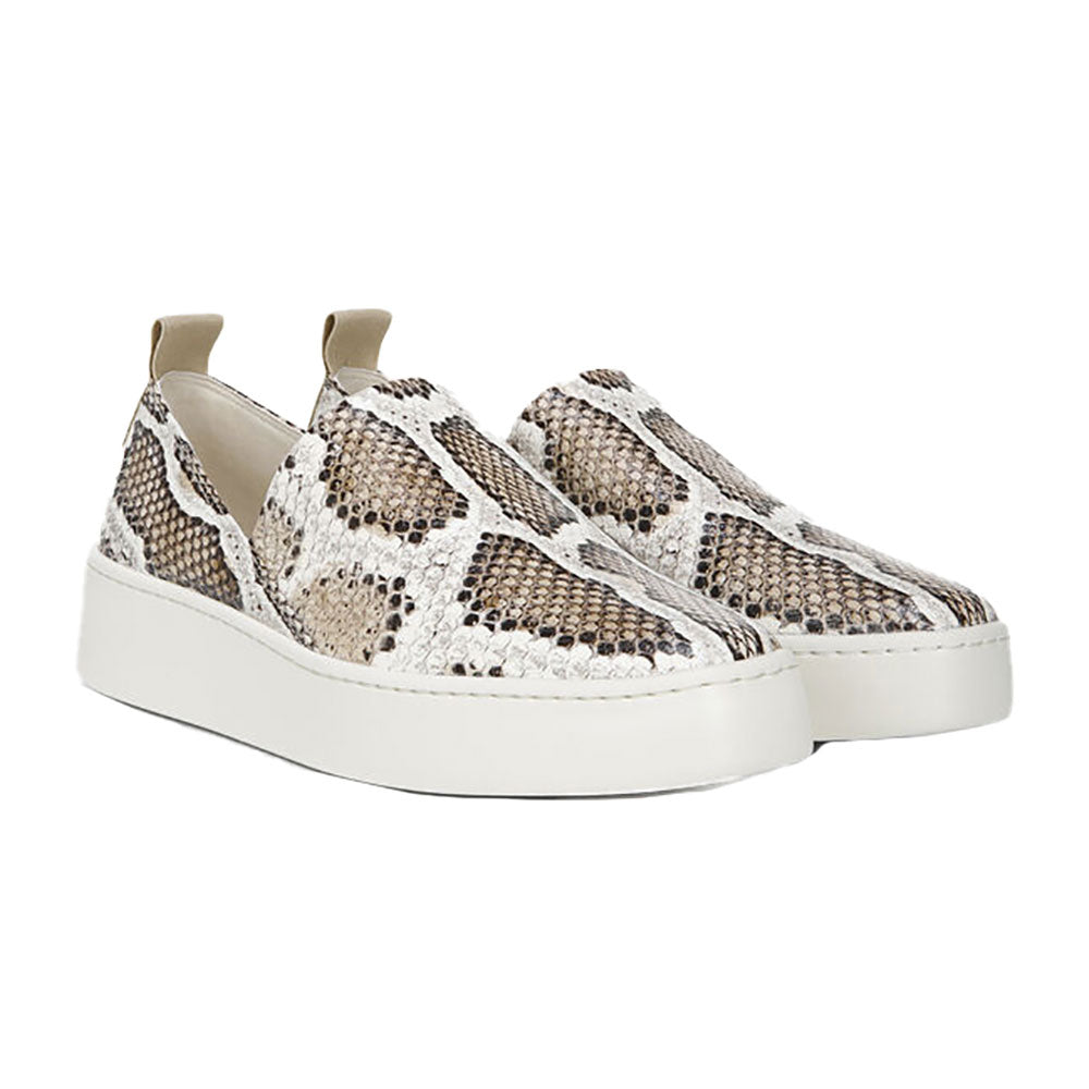 Saxon Tennis Shoe