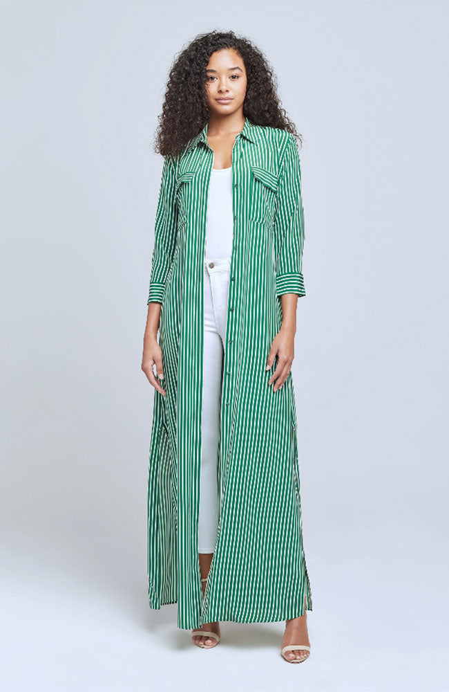 Cameron Stripe Shirt Dress