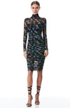 Delora TNeck LS Midi Dress