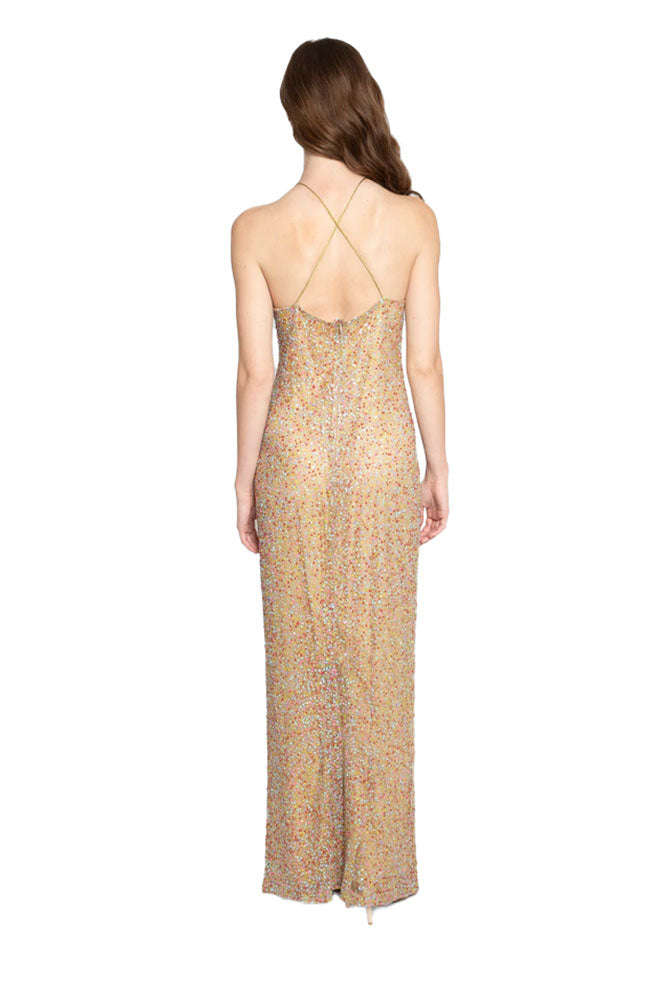 Mesh Sequin Multicolor Gown