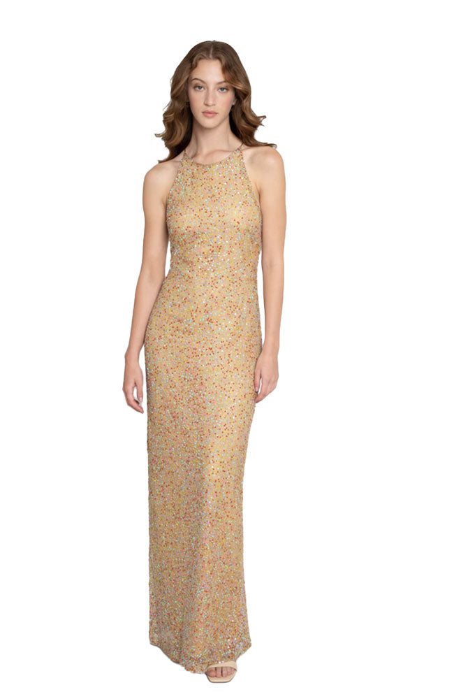 Mesh Sequin Multicolor Gown