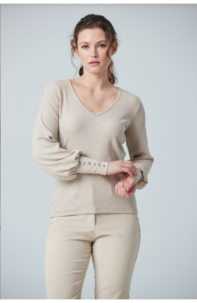 V Neck Top Puffy Sleeves TS