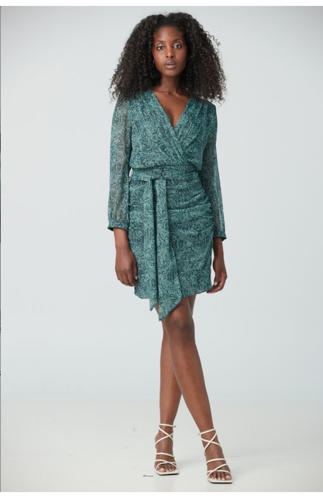 Printed Knee Length Dress TS