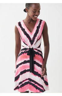 Pink Black SL V Neck Dress