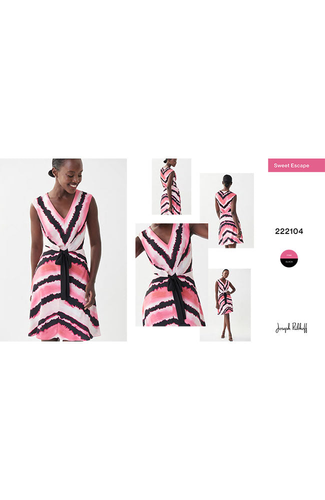 Pink Black SL V Neck Dress