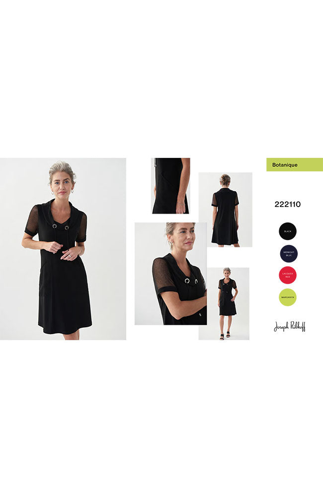 Cowl Neck Dress with Mesh Sleeves