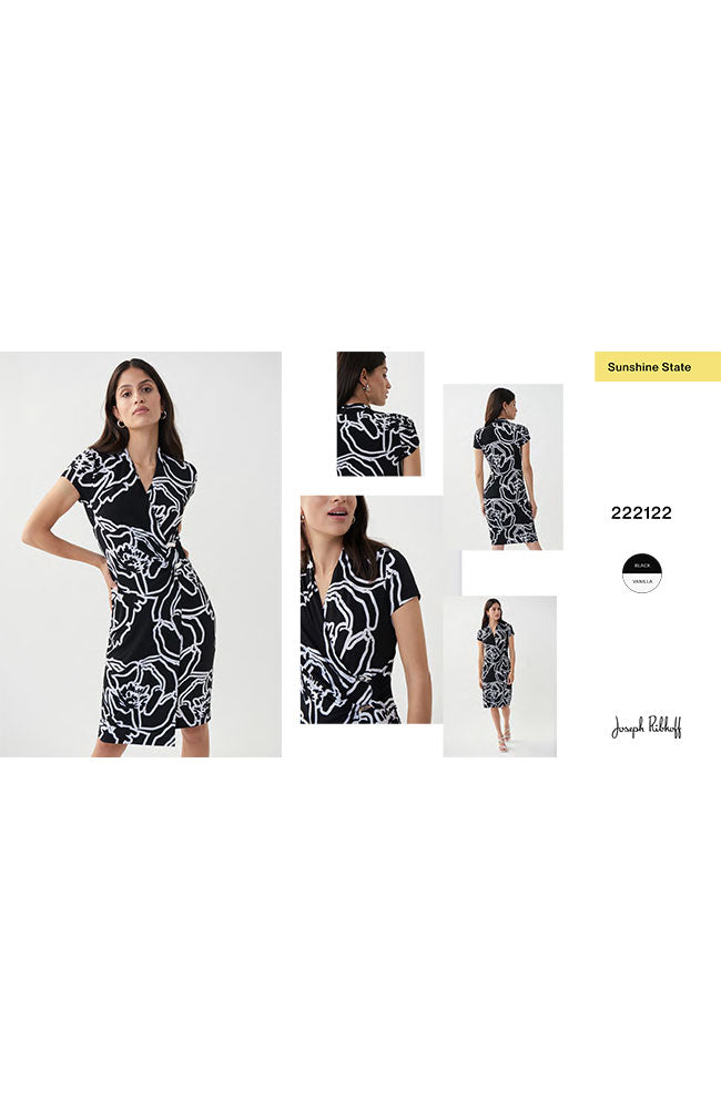 Cap Sleeve Sheath Dress Pleated Waist