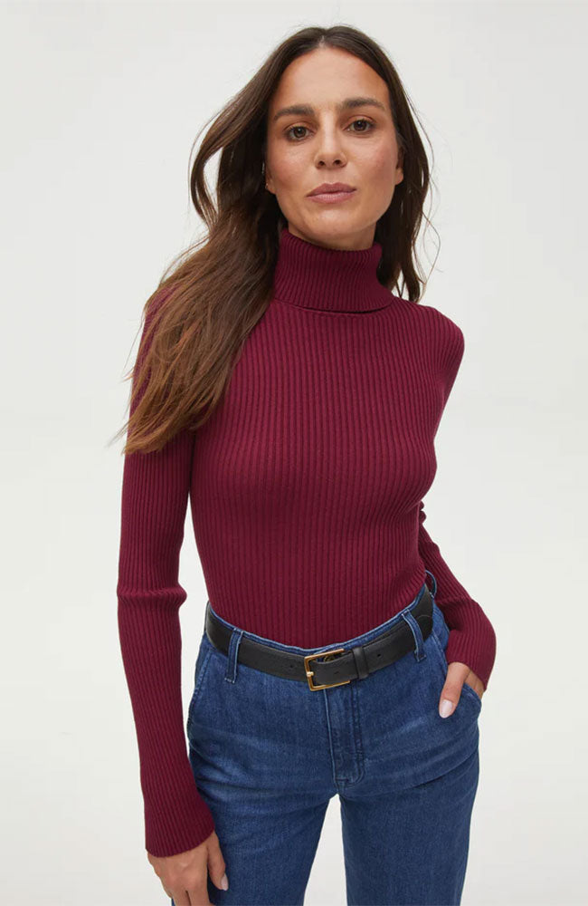 Nora Turtleneck Top