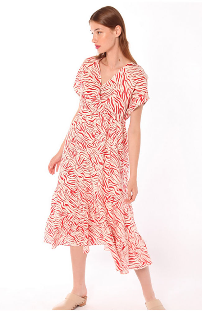 Libby Zebra Print S/S Maxi Dress