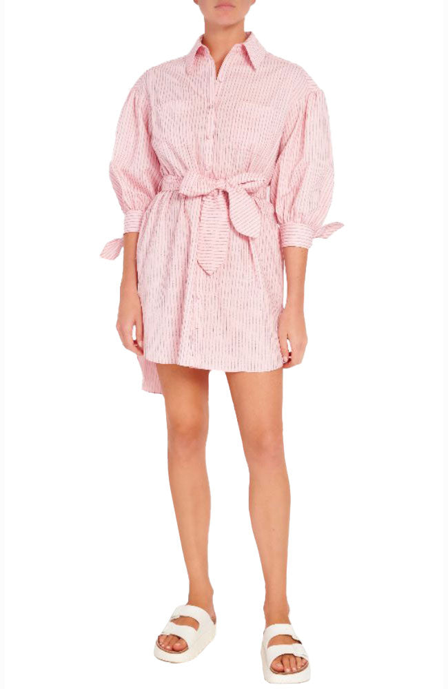 Sofia Stripe Stacey Dress