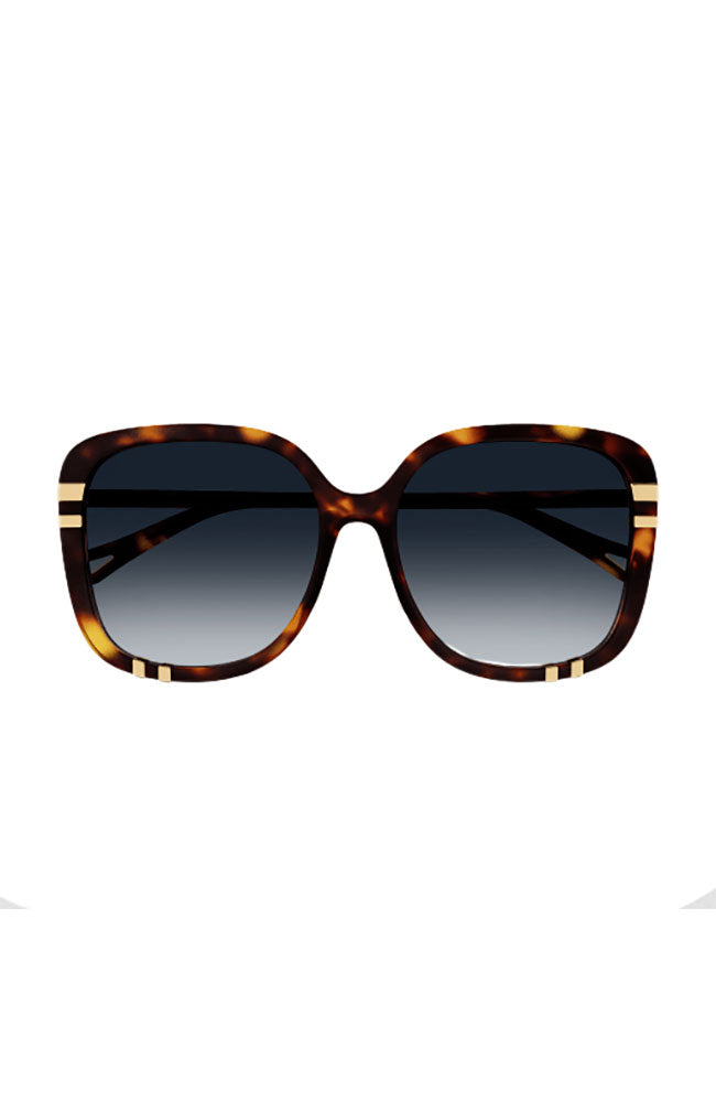 Chloe Sunglasses Square Dark Havana