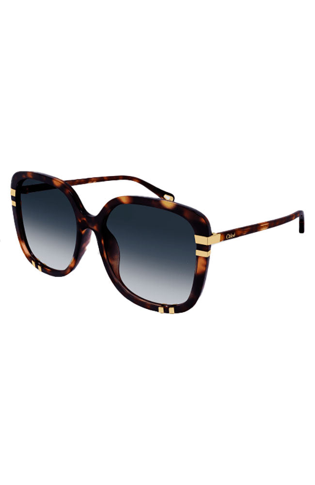 Chloe Sunglasses Square Dark Havana