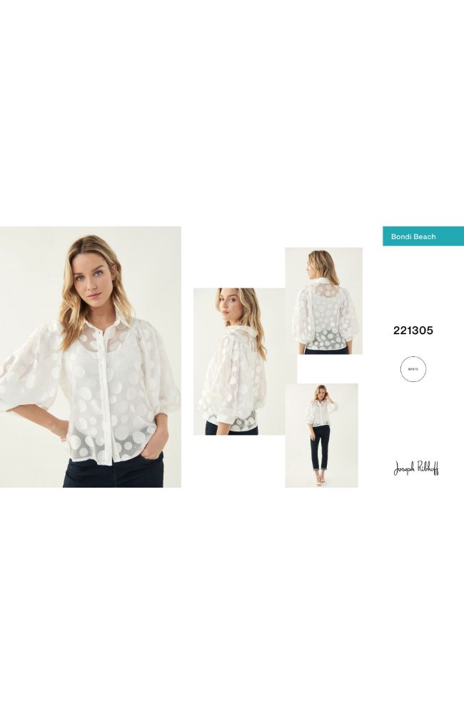 Puff Slv See Thru Top