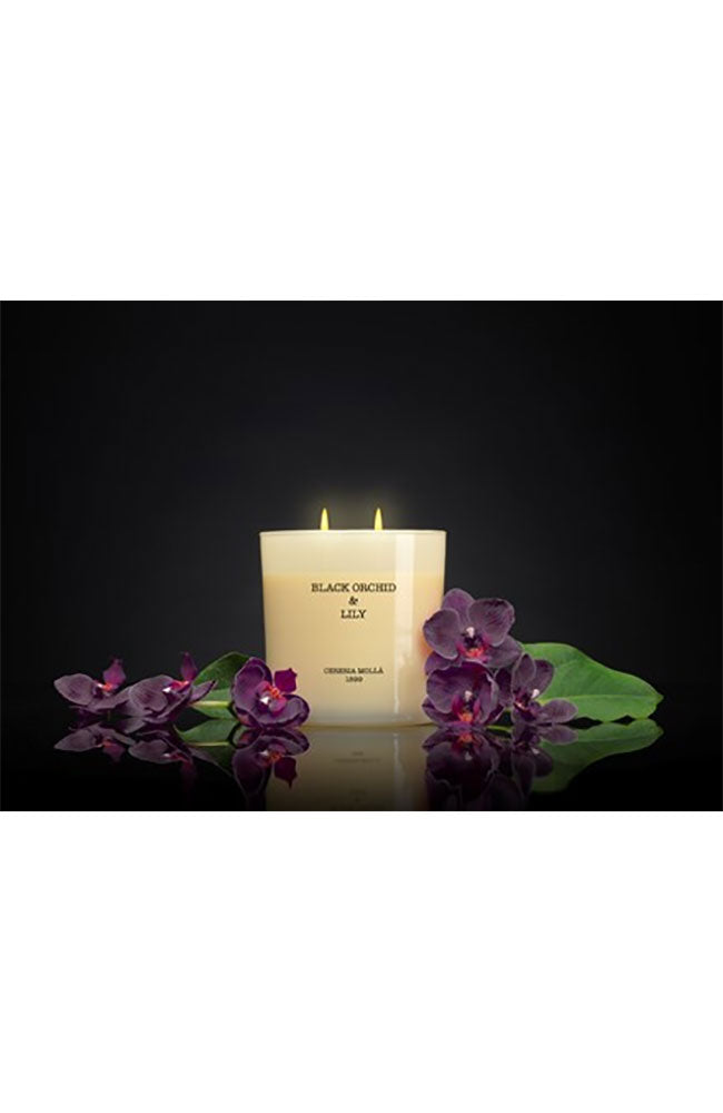 3 Wick 21 oz  Black Orchid & Lilly Ivory Candle