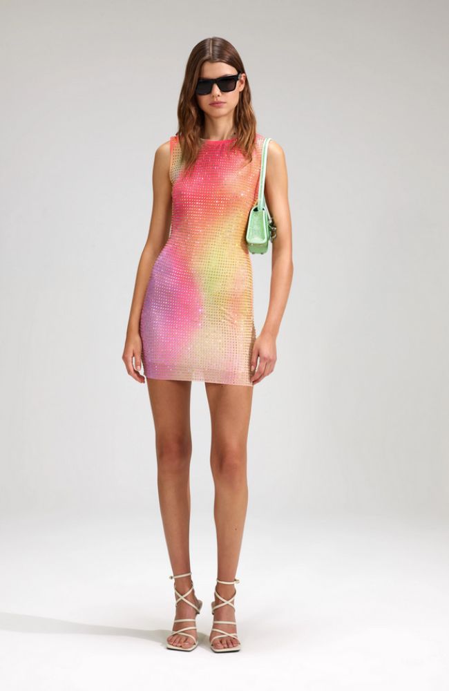 Mesh Hotfix Mini Dress