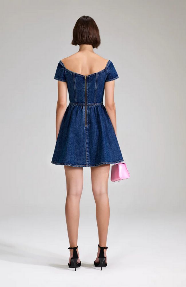 Denim Sweetheart Mini Dress