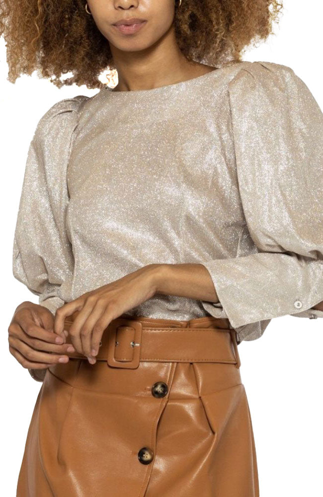 Sparkly Puff Sleeve Blouse
